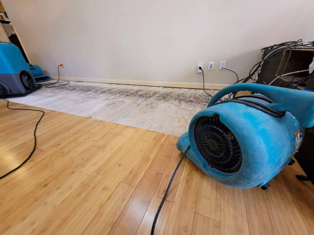 Professional Water Damage Repair technician working in London, OH